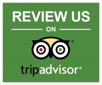 travel advisor